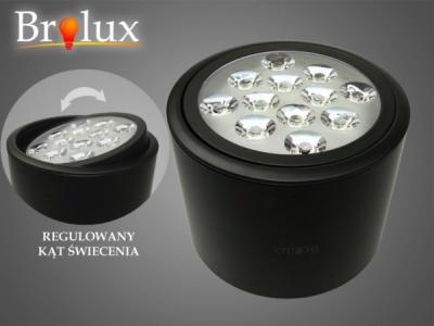 LED  uz virsmas  montējams  gaismeklis  Ryman  12W  WW