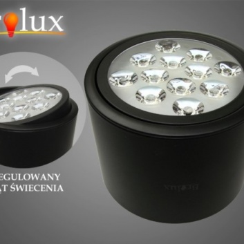 LED  uz virsmas  montējams  gaismeklis  Ryman  12W  WW